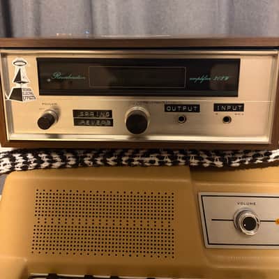 Pioneer Spring Reverb Amplifier Amplifier 202W 70s - Wood/silver image 1