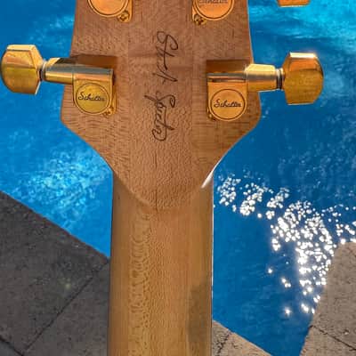 Stuart Spector Design (SSD) BlackHawk Guitar  - Stuart’s Personal Guitar image 5