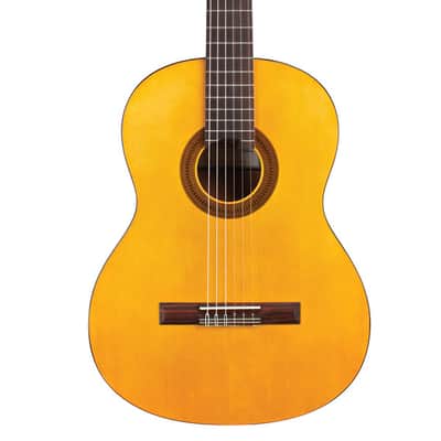 Cordoba Protege C1 Nylon Guitar image 1