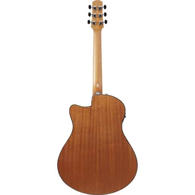 Ibanez AAM50CE-OPN image 2