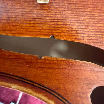Orchestra Concert Master 13" Viola Outfit with Case and Bow image 6