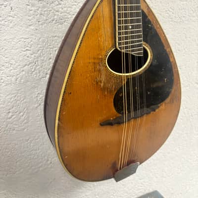Weymann mandolin (mandolute) style 30 app. 1913 image 3