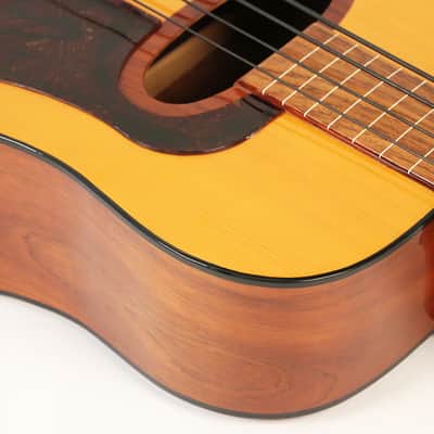 1980 EKO BA/4 Acoustic Fretless Bass Guitar Vintage Hofner Hagstrom image 5