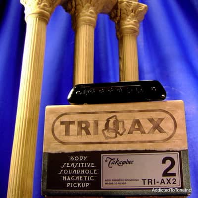 Takamine TRI-AX 2 Acoustic Guitar Pickup CTP1 CTP2 CTP3 CT4DX Modified L R Baggs M80 image 17