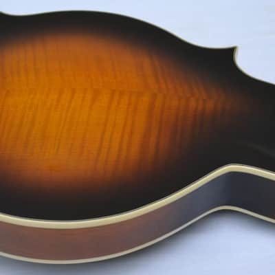 Orpheum OM6SW F-Style Mandolin-All Solid Top, Back & Sides- by Tacoma image 9