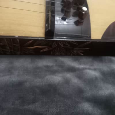 Unknown Zither Unknown - Gloss stain image 19