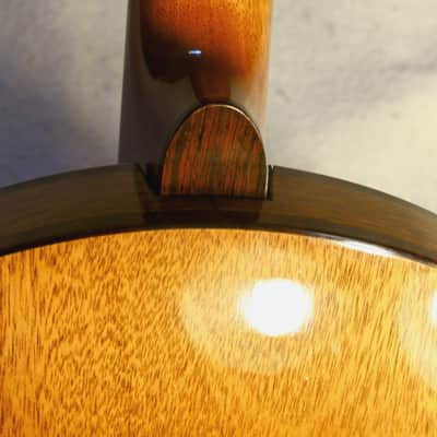 Vintage 1980 OME Single X 5-String Resonator Banjo — Excellent vintage condition, Original, Pro Setup, OHSC image 19