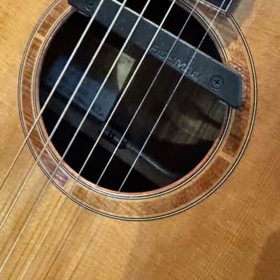 Breedlove Master Class Ed Gerhard Signature 2000s - Natural image 9