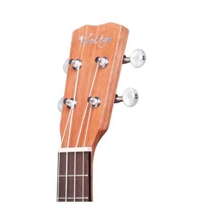 Protege by Cordoba U100CM Concert Ukulele image 8