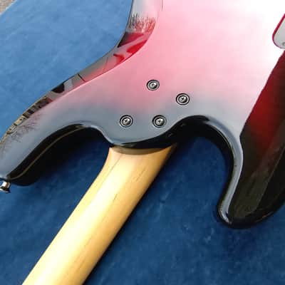 Hamer USA Cruise Bass image 12