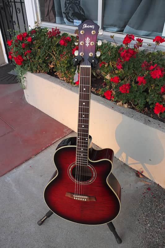 Ibanez AEL20-TRS-14-01 image 1