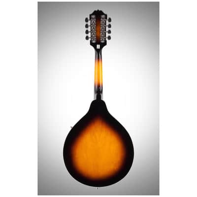 Washburn M1 Mandolin Pack with Gigbag image 5
