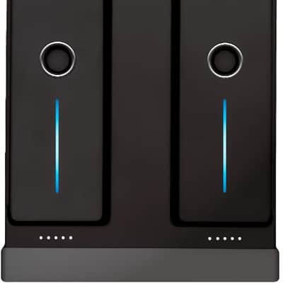 Immagine Phase ESSENTIAL 2-Channel DVS System with 2 Remotes - 1