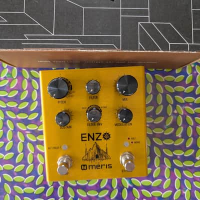 Meris Enzo 2018 - Gold image 1