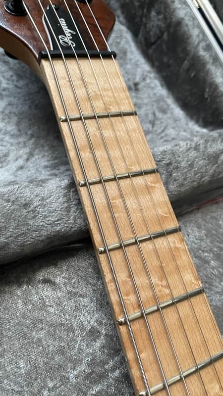 Mayones Regius 6 MM 2015 Misha Mansoor Sig | Reverb Czechia