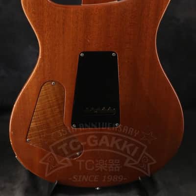 Paul Reed Smith Custom 24 Artist Package image 13