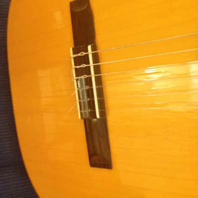 1969 RARE COVETED Di Giorgio Autor 3 Guitar Serie Artistica  Hardcase/Free US shipping all redone image 6
