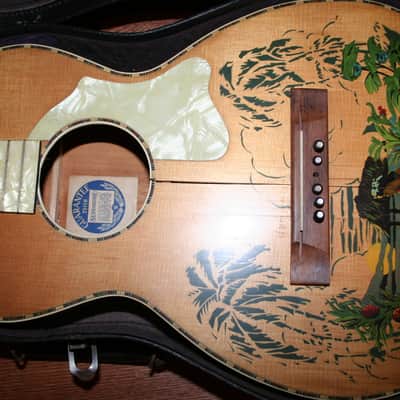 Supertone Parlor Acoustic 1930's Decalcomania w/Case image 4