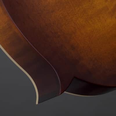 Northfield F2S Oval Hole w/ Red Spruce Top & Wide Nut (#S2601511) image 14