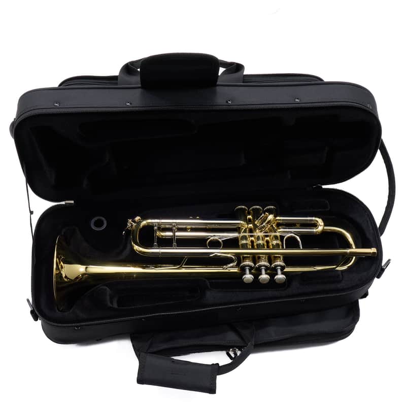 Bach Model 18037 Stradivarius Professional Bb Trumpet MINT CONDITION image 1