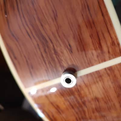 Left handed 6 string Warwick Alien Acoustic bass deluxe image 10