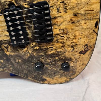 ViK Guitars Left-Handed Lefty Caprice 7 7-string Guitar with Case image 8