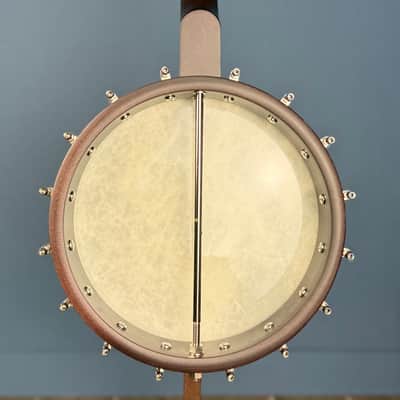Custom Deering Artisan Goodtime Special 19-Fret Tenor Openback Banjo image 5