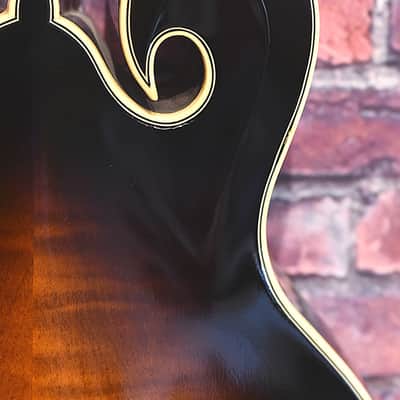 Kentucky Dawg Mandolin image 4