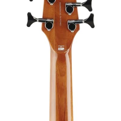 ESP LTD TL-5 Thinline 5-String Acoustic Electric Bass Guitar Natural image 7