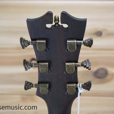 D'Angelico Premier Gramercy - Aged Burst image 15