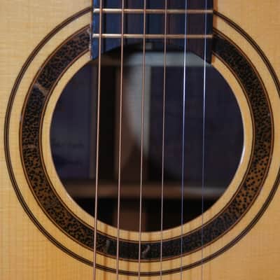 Darren Hippner #17 Ltd Dreadnought/ Bluegrass-Adirondack Spruce top/ Tasmania Jarrah image 25