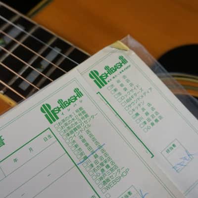 Pro Martin W-250 Vintage MIJ Dreadnought Acoustic Guitar w/ Gig Bag image 22