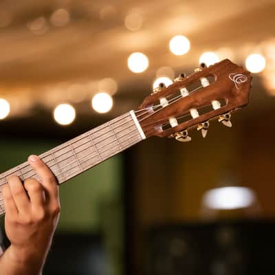 Ortega RCE159SN Performer Series Solid Cedar Top  Mahogany Neck Cutaway Nylon 6-String Classical Acoustic-Electric Guitar w/Gig Bag image 23