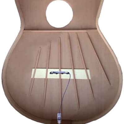 Schatten Designs Schatten HFN-C Classical Nylon String Pickup Passive image 2