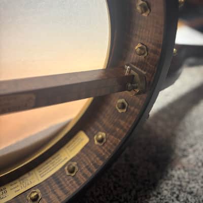 Pisgah Banjo Dobson Professional 12" 2023 - Maple image 14