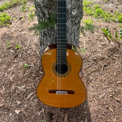 Yamaha GC-41C Grand Concert Classical Acoustic Guitar image 2