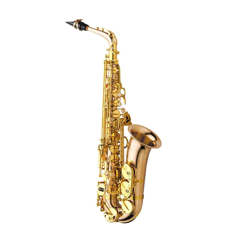 Yanagisawa AWO2 Professional Alto Saxophone - Bronze image 1
