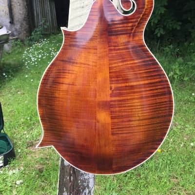 Vanden F5 Mandolin image 4