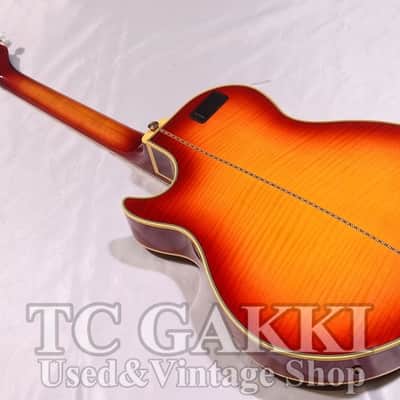 Greco CSF 90 image 6