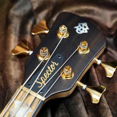 Spector Custom Shop NS-2X Ziricote image 6