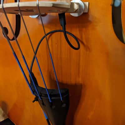 Samuel Eastman VB80 2004  Hand Crafted Instrument In California image 5