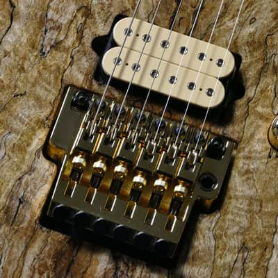 Ibanez JCRG Kurosawa Custom Order Spalted Maple 【Made In Japan】【Handcrafted by Master Builder】 image 4
