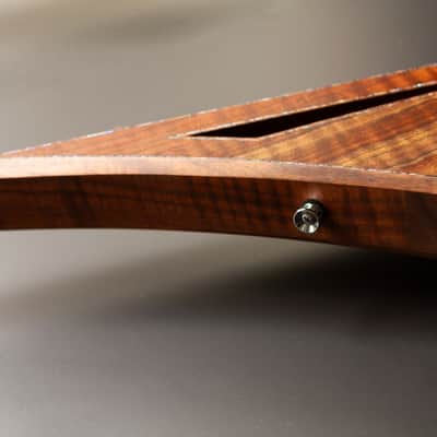 Hoff Guitars Valnut (Neck-Through, Multi-Scale, Semi-Hollow V 2024 - Polymerized Tung Oil image 22