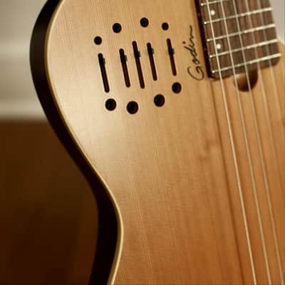 Godin Multiac Nylon Encore Natural SG w/Bag image 4