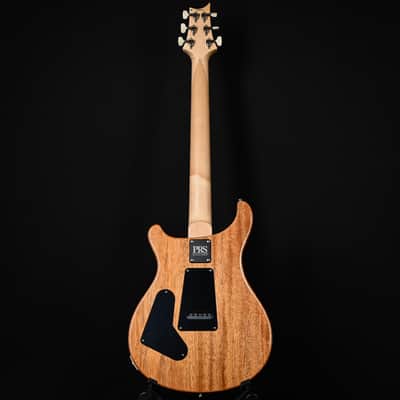 PRS CE 24 Electric Guitar- Custom Color 2025 (0421707) image 4