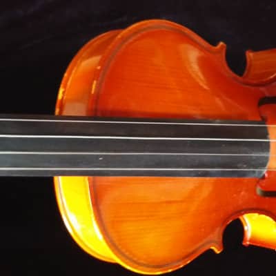 Shimro 501 1995 Violin image 5