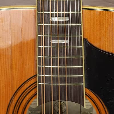 EKO Ranger VII Italian 12 String Acoustic Guitar w/Hard Case image 3