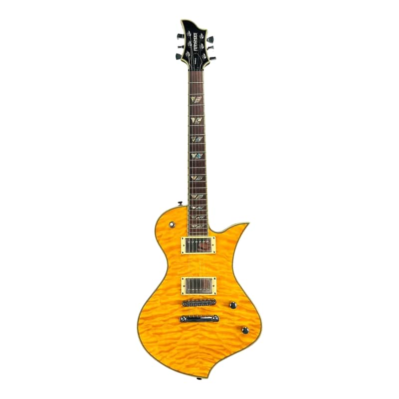 Fernandes Ravelle Custom HH image 1