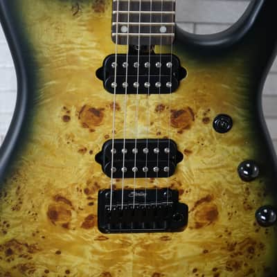 Sterling Jason Richardson 6 Signature Cutlass - Natural Poplar Burst - With Gig Bag image 6