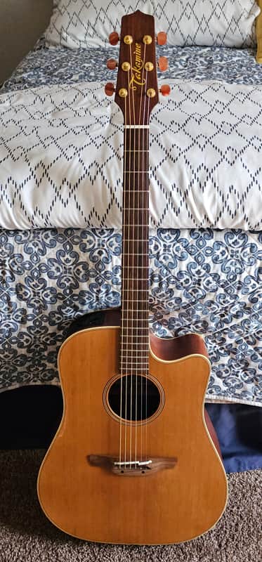 Takamine EAN10C Pro Series Electric Acoustic Dreadnought w/HSC - Satin image 1